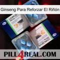 Ginseng Para Reforzar El Riñón viagra5